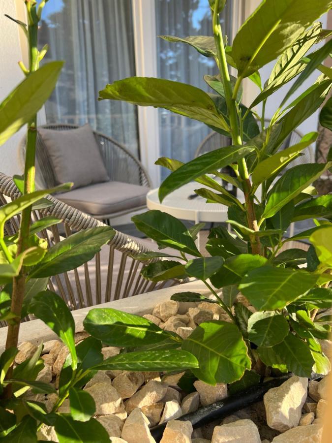 Apartamento Sunset Huus Starigrad Paklenica Exterior foto